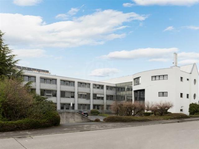 Großzügiges Industriegebiet – Meyrin