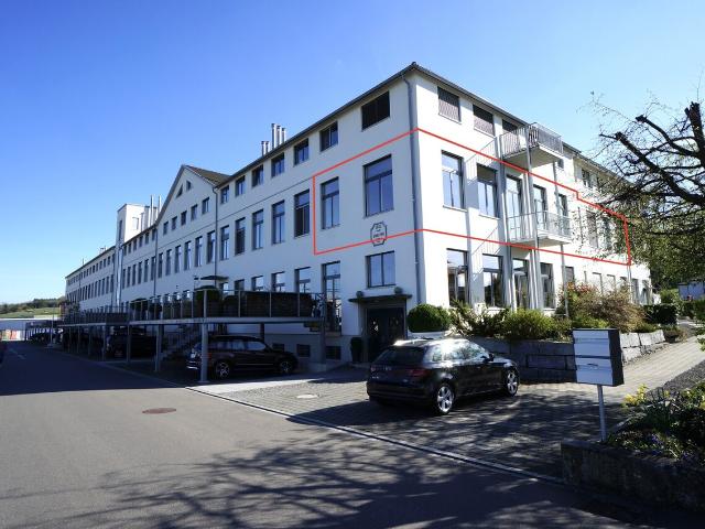 Grosszügiges Loft mit vielseitigem Potenzial