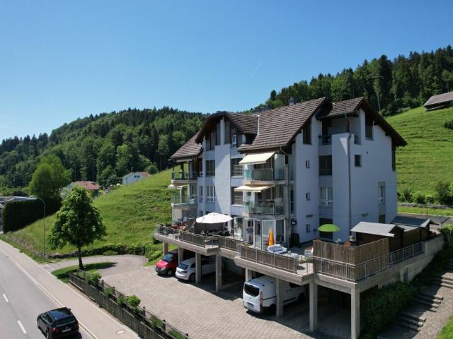 Grosszügiges Wohnen mit Wintergarten, Cheminée und beeindruckender Terrasse