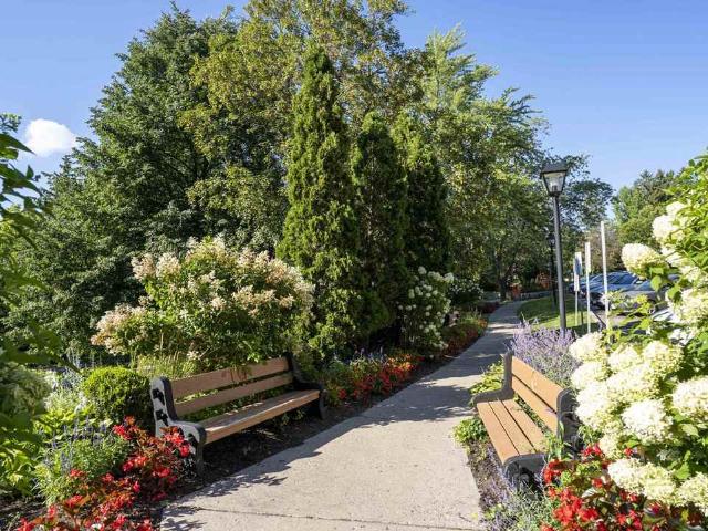 Grosvenor Estates 1 Bedroom Apartment for Rent at 1/291/295/9 Grosvenor St, London, ON N6A None North London
