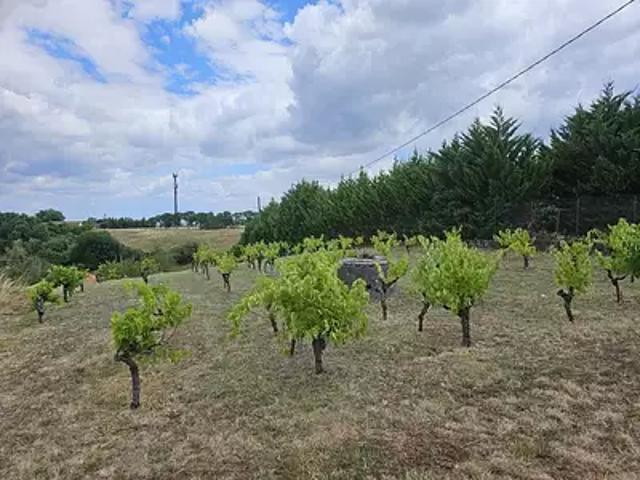Graulhet 81300 Achat / Vente terrain