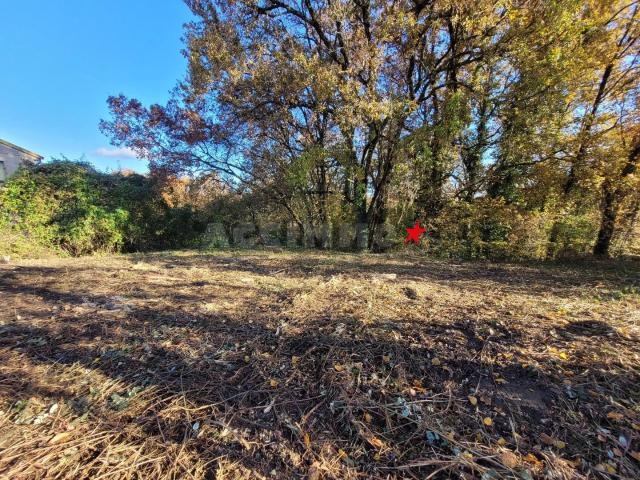 GRAULHET TERRAIN DE 5 818 m²