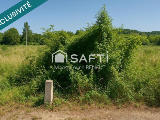 Graulhet Vente Terrain 81