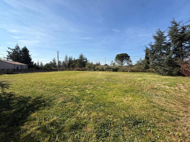 Graulhet Vente Terrain 81