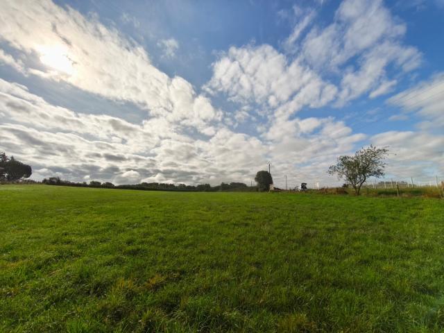 Graulhet Vente Terrain 81
