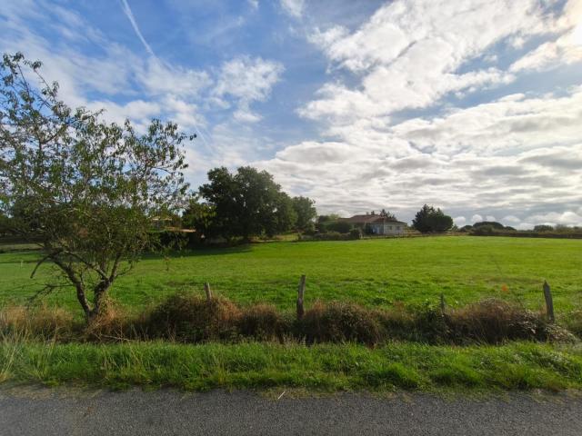 Graulhet Vente Terrain 81