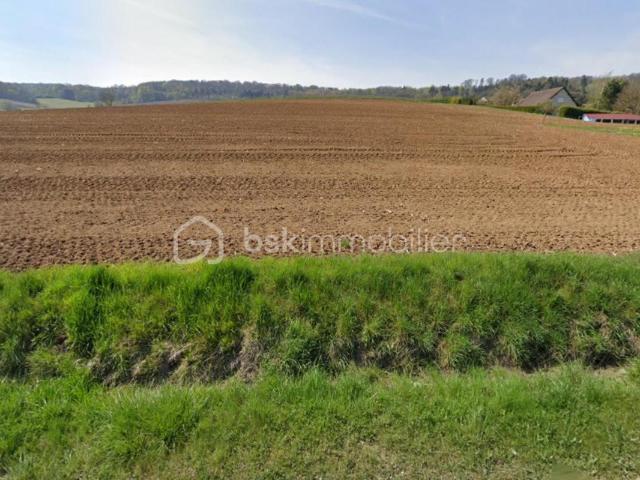 Grauves Vente Terrain 51