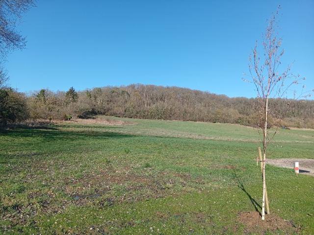 Gravigny Vente Terrain 27