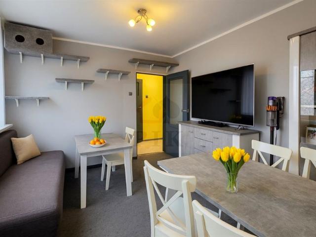 Grabowa 49,18 m², Katowice