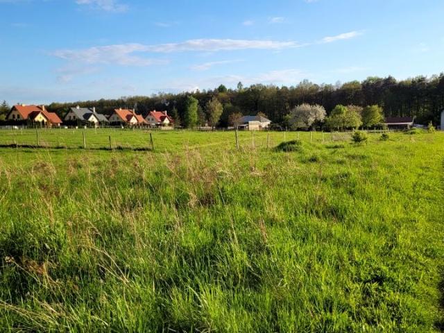 Grabnik 600 m², Głogów Małopolski