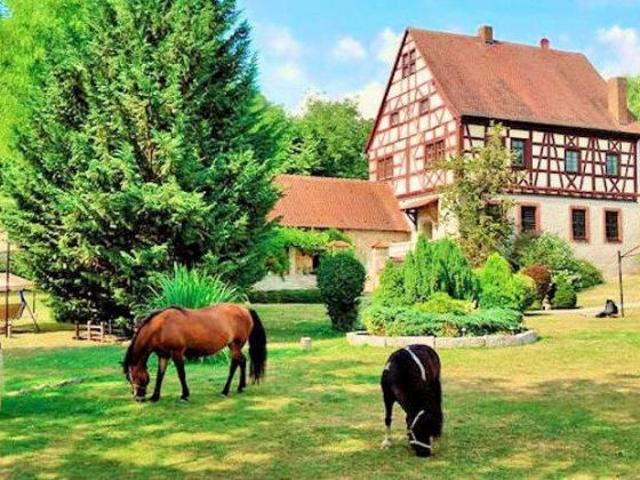 Graf & Gräfin gesucht Traum Schloss mit arrondierten Ländereien als romantische Event Location & Ruhe Refugium – Denkmal Burg Stall Hof Pferde Stadl