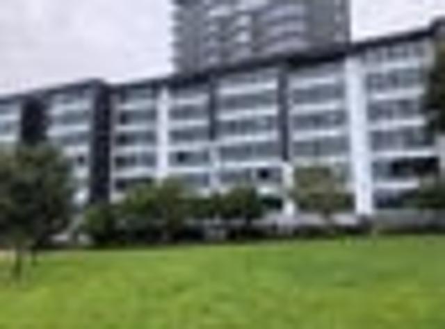 Grafton, Studio, $475 pw