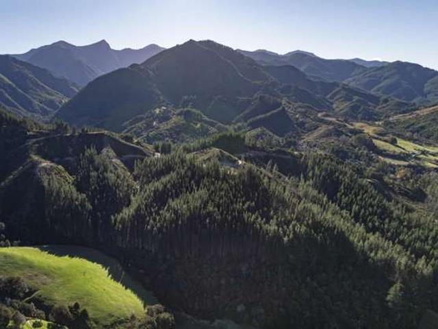Graham Valley Road, Motueka Valley, Tasman