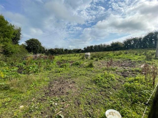 Grainmore, Ballymote, Sligo E & M Scanlon Auctioneers & Estate Agents 4730 MyHome. Ie Residential