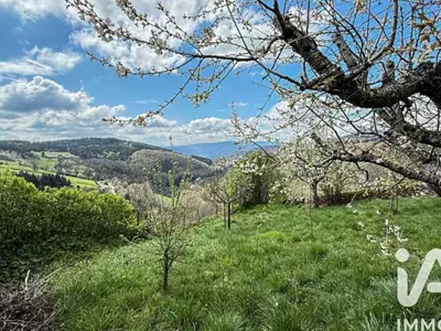 Graix 42220 Achat / Vente maison 4 pièces t4