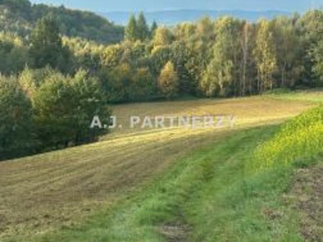 Grajów, 5178 m² Działka