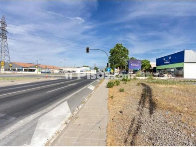 GRAN NAVE FRENTE AL LIDL DE LA CARRETERA DE CÓRDOBA