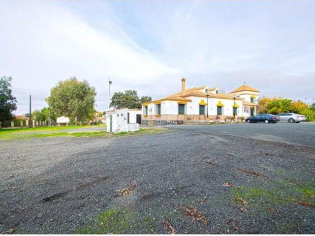 Gran negocio en urbanización La Colina, Castilblanco!
