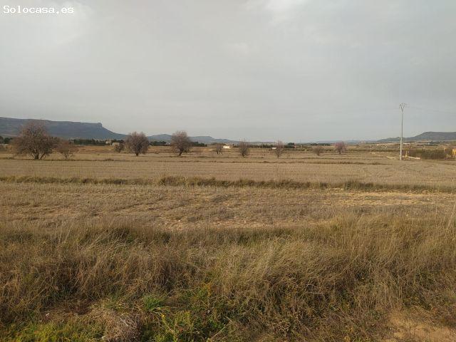 GRAN OCASION PARCELA RUSTICA DE 40.000 METROS MUY CERCA DE ALMANSA