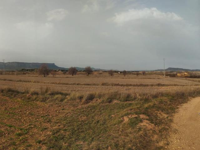 GRAN OCASION PARCELA RUSTICA DE 18.000 METROS MUY CERCA DE ALMANSA