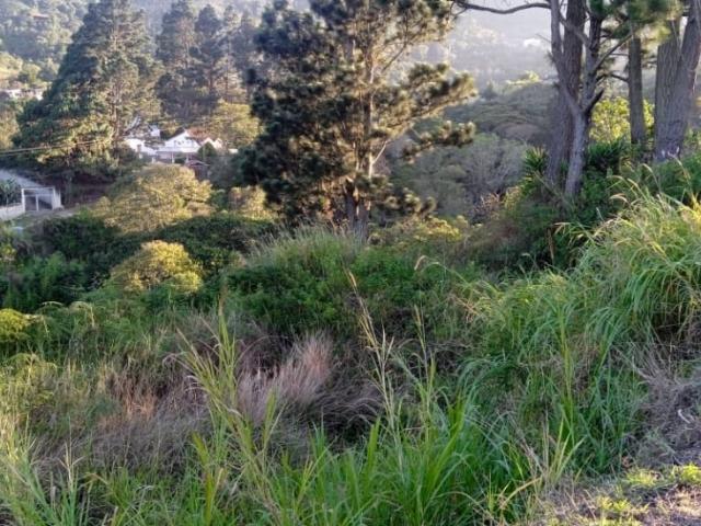 Gran oferta Terreno de 1800 mtrs2 en venta en el Junquito La Niebla