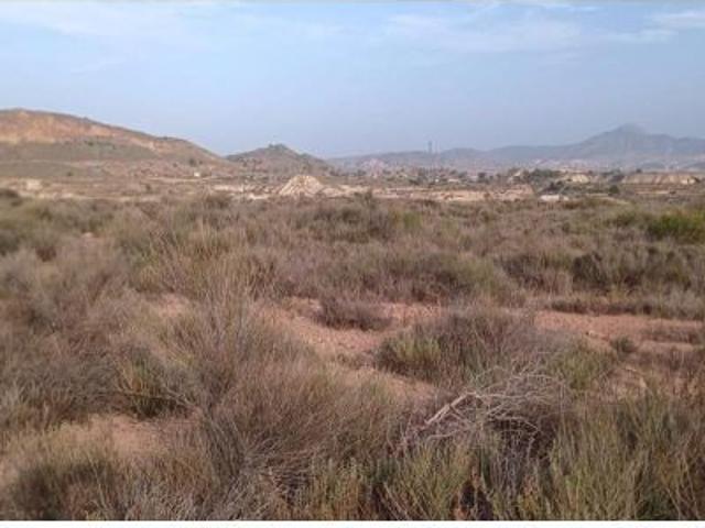 ? Gran oportunidad: Conjunto de fincas rústicas de 91.289 m2 en El Salado Alto Abanilla