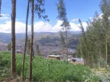 Gran Oportunidad de Inversión y Rentabilidad en Terreno para Lodge Hotel u Otro Proyecto