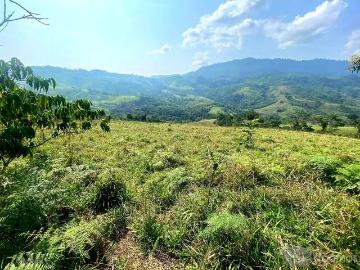 ? ¡GRAN OPORTUNIDAD DE INVERSIÓN EN TARAPOTO – NUEVO CELENDÍN! ?