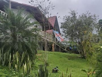 Gran Oportunidad de Inversión Finca con cultivo de Guanábana única en Panamá