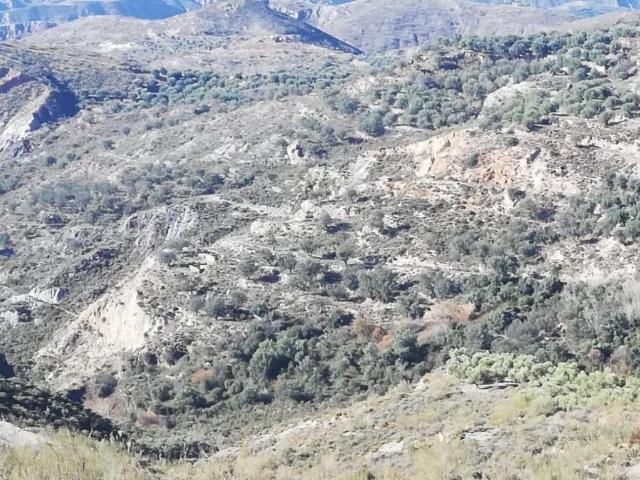 ¡Gran Oportunidad! Suelo Agrícola de Regadío en Nevada, Granada