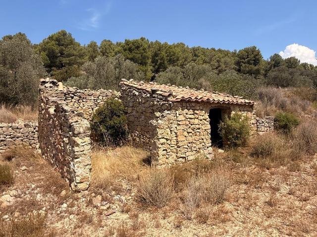 ¡GRAN OPORTUNIDAD: SE VENDE PARCELA CON CASETA DE PIEDRA Y OLIVOS!