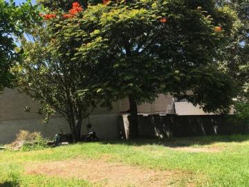 ¡Gran Oportunidad! Terreno en Venta en Ixtapaluca, Edo. de México