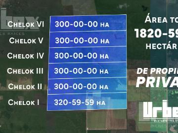 ?GRAN OPORTUNIDAD! 1820 HECT?REAS EN VENTA EN CHAMPOT?N