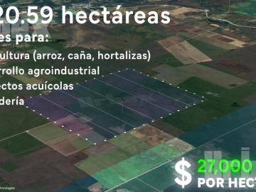 ¡GRAN OPORTUNIDAD! 1820 HECTÁREAS EN VENTA EN CHAMPOTÓN