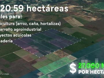 ?GRAN OPORTUNIDAD! 1820 HECT?REAS EN VENTA EN CHAMPOT?N