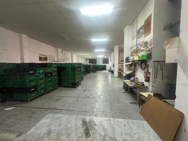 Gran almacén de 590 m2 con acceso para vehículos en Novelda