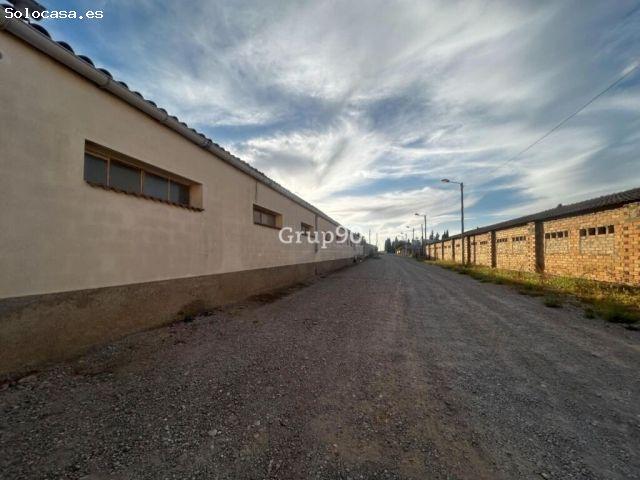 GRAN CASA CON ALMACÉN EN ARBECA – UNA OPORTUNIDAD ÚNICA