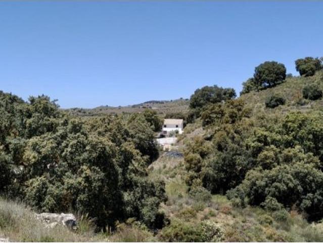 Gran casa con parcela y piscina en Alhama de Granada