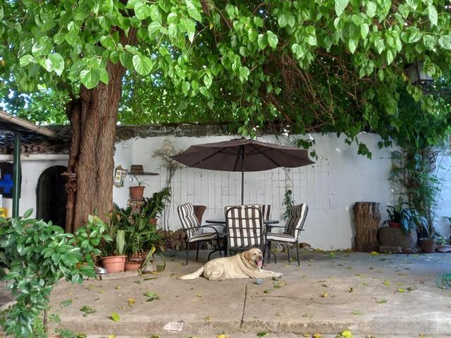 Gran casa con patio en Brozas