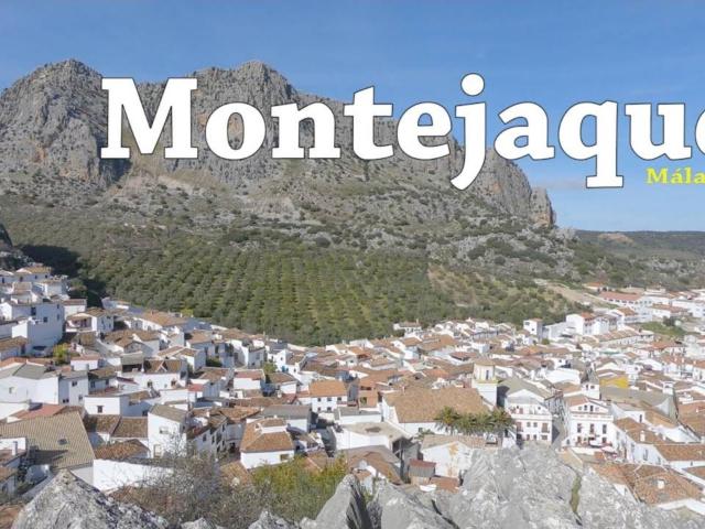 GRAN CASA DE PUEBLO CON OLIVAR