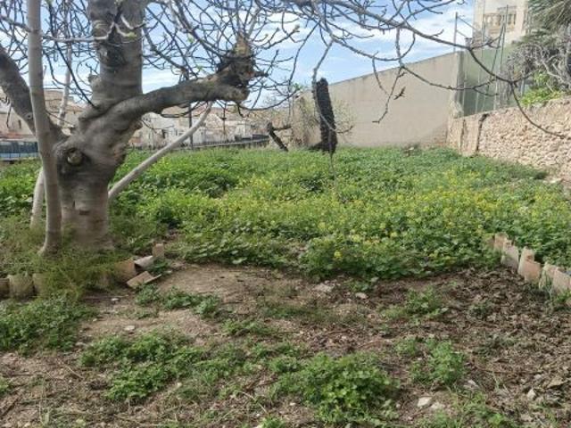Gran casa en Aspe con inmenso jardín