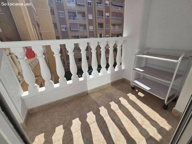 GRAN ESTUDIO EN TORREVIEJA: 1 ASEO