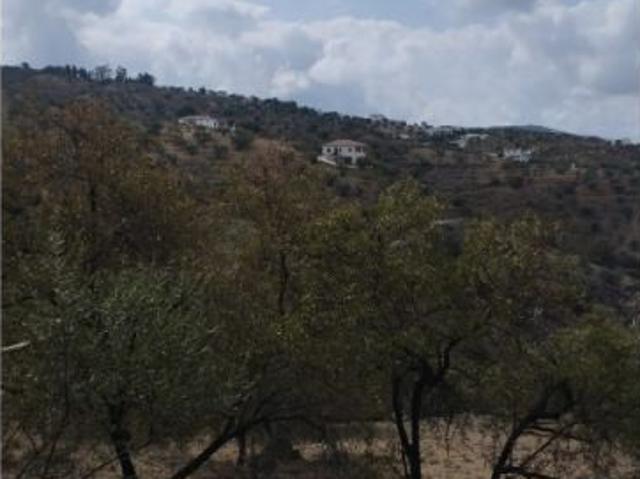 Gran finca de 18.000 metros en Riogordo!