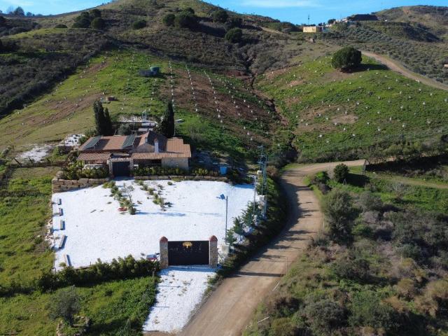 Gran Finca en Mijas Costa: 14.000 m2 con olivos recién plant. 47m² Mijas