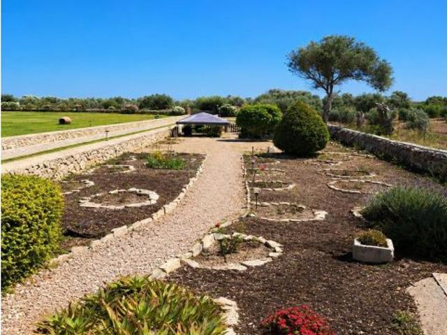 Gran Finca en Can Picafort | Piscina, Pádel, Sauna y Amplias Instalaciones