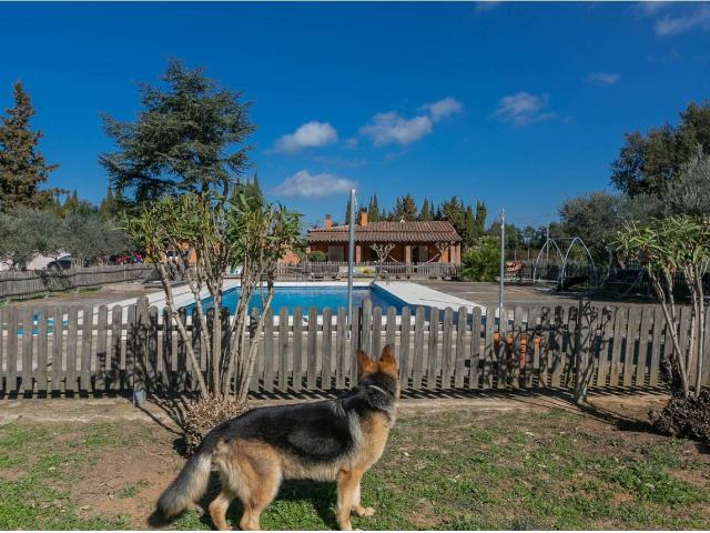 Gran Finca Rústica con dos casas en venta en Vullpellac Fora. 832m² Forallac