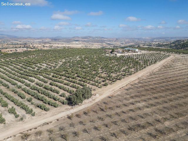 Gran Finca rústica en Alamedilla, Granada