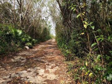 Gran Lote con Cenote en Venta Leona Vicario C1939