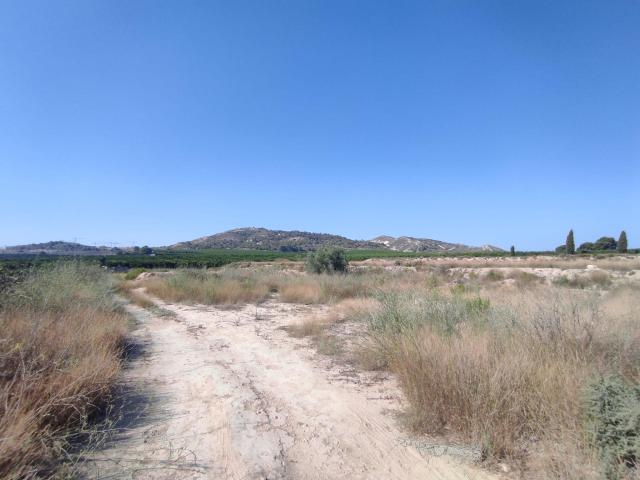Gran parcela de 8357 metros cuadrados con luz y agua en Algorfa, Costa Blanca