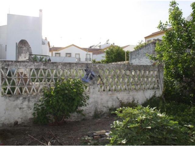 Gran parcela en Carrión de los Céspedes, Sevilla